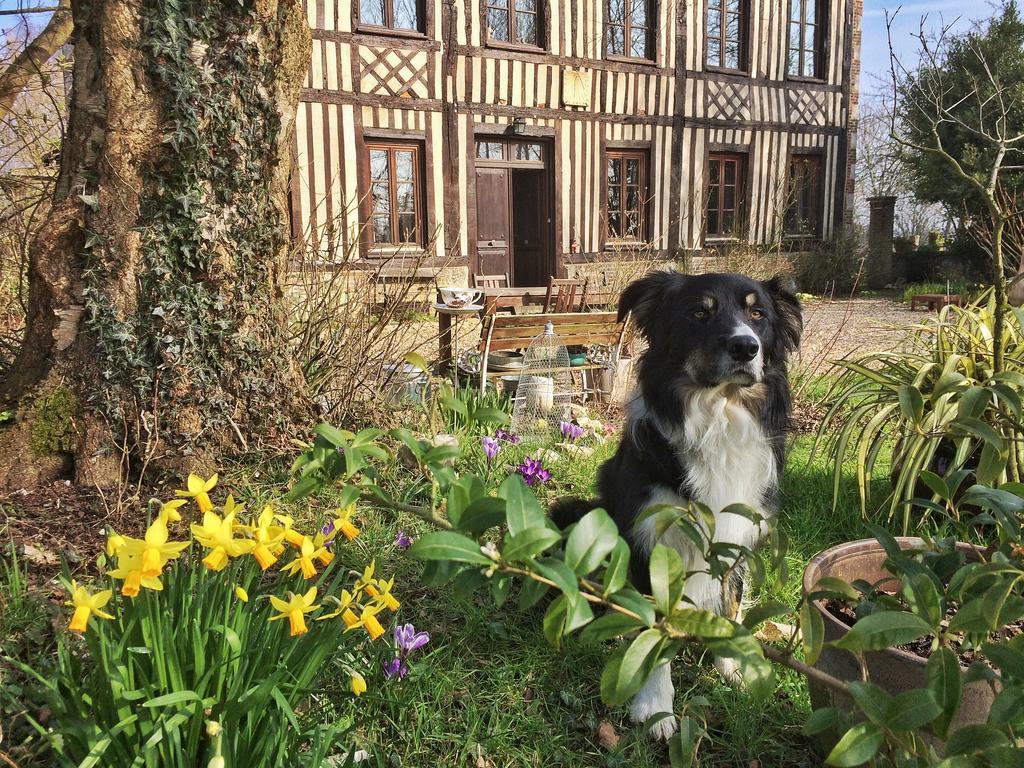 Le Petit Manoir De La Vernelle Bed and Breakfast Fourmetot Buitenkant foto